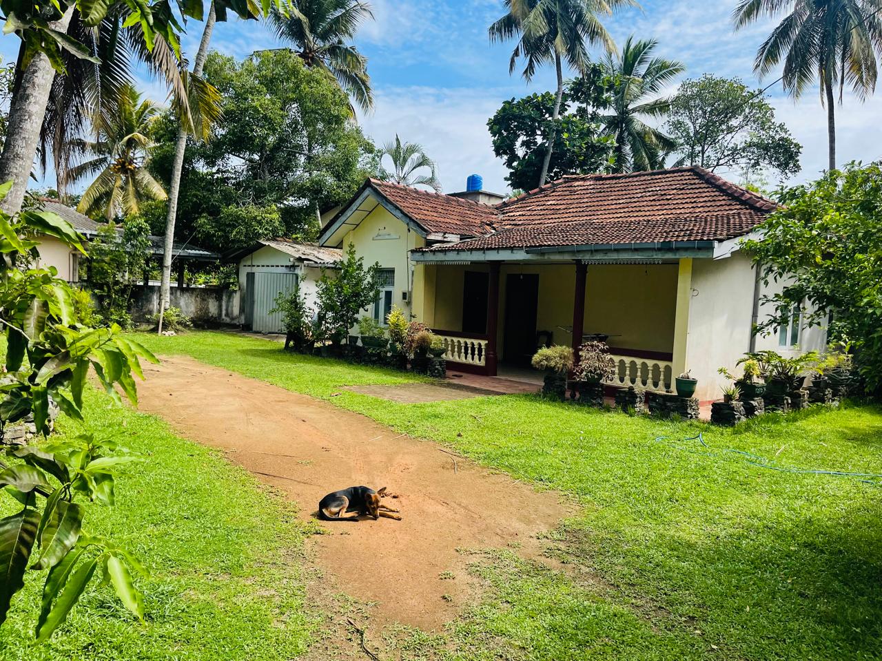 41 and 39 Perches Two Land Plots with Houses for Sale in Panadura