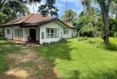41 and 39 Perches Two Land Plots with Houses for Sale in Panadura