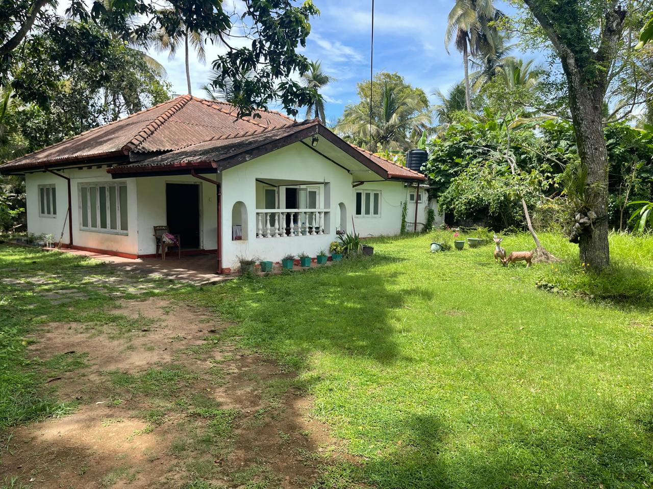 41 and 39 Perches Two Land Plots with Houses for Sale in Panadura