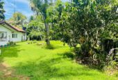 41 and 39 Perches Two Land Plots with Houses for Sale in Panadura
