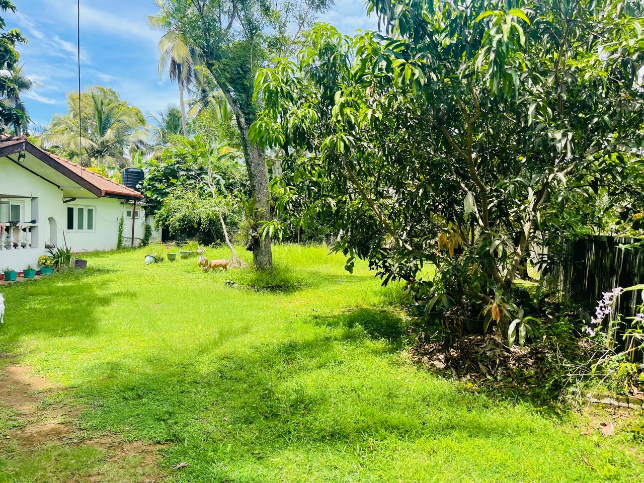 41 and 39 Perches Two Land Plots with Houses for Sale in Panadura