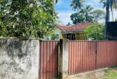 41 and 39 Perches Two Land Plots with Houses for Sale in Panadura