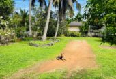 41 and 39 Perches Two Land Plots with Houses for Sale in Panadura
