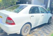 Toyota Corolla 2003