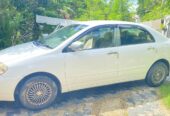 Toyota Corolla 2003