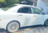 Toyota Corolla 2003