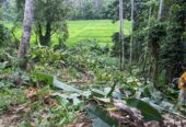 Land for Sale in Dodangoda 100m to Southern Expressway Entrance