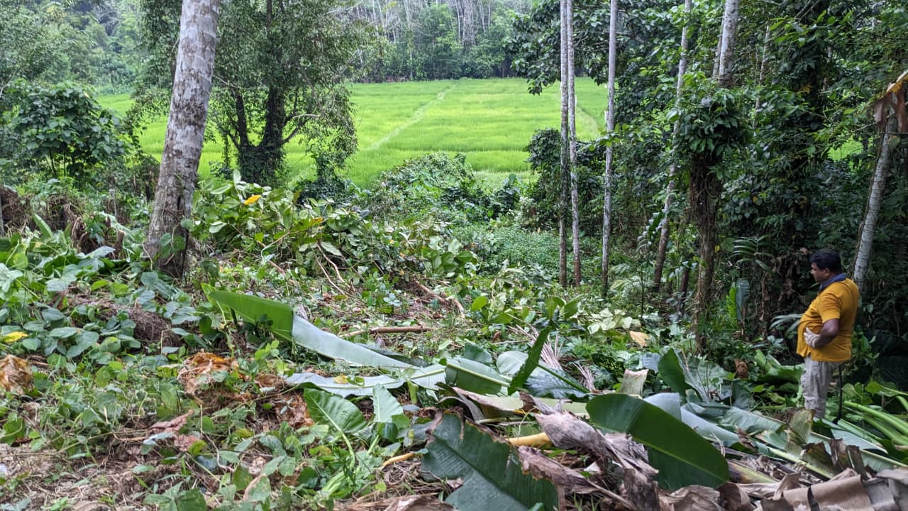 Land for Sale in Dodangoda 100m to Southern Expressway Entrance