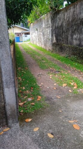 House for Sale – Panniptiya