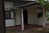 House for Sale – Panniptiya