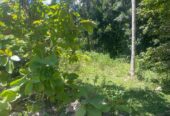 බෙලිඅත්ත නගරයේන් පදිංචියට හොද ඉඩම