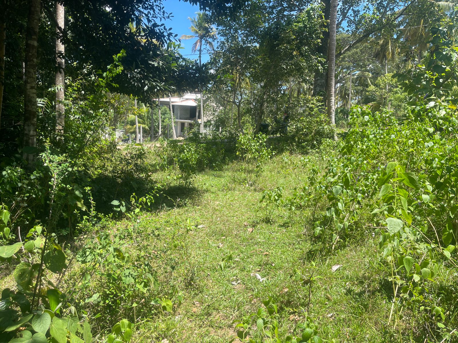 බෙලිඅත්ත නගරයේන් පදිංචියට හොද ඉඩම