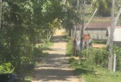බෙලිඅත්ත නගරයේන් පදිංචියට හොද ඉඩම