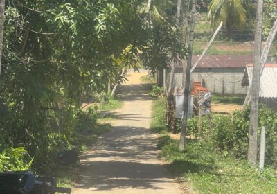 බෙලිඅත්ත නගරයේන් පදිංචියට හොද ඉඩම