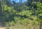 බෙලිඅත්ත නගරයේන් පදිංචියට හොද ඉඩම