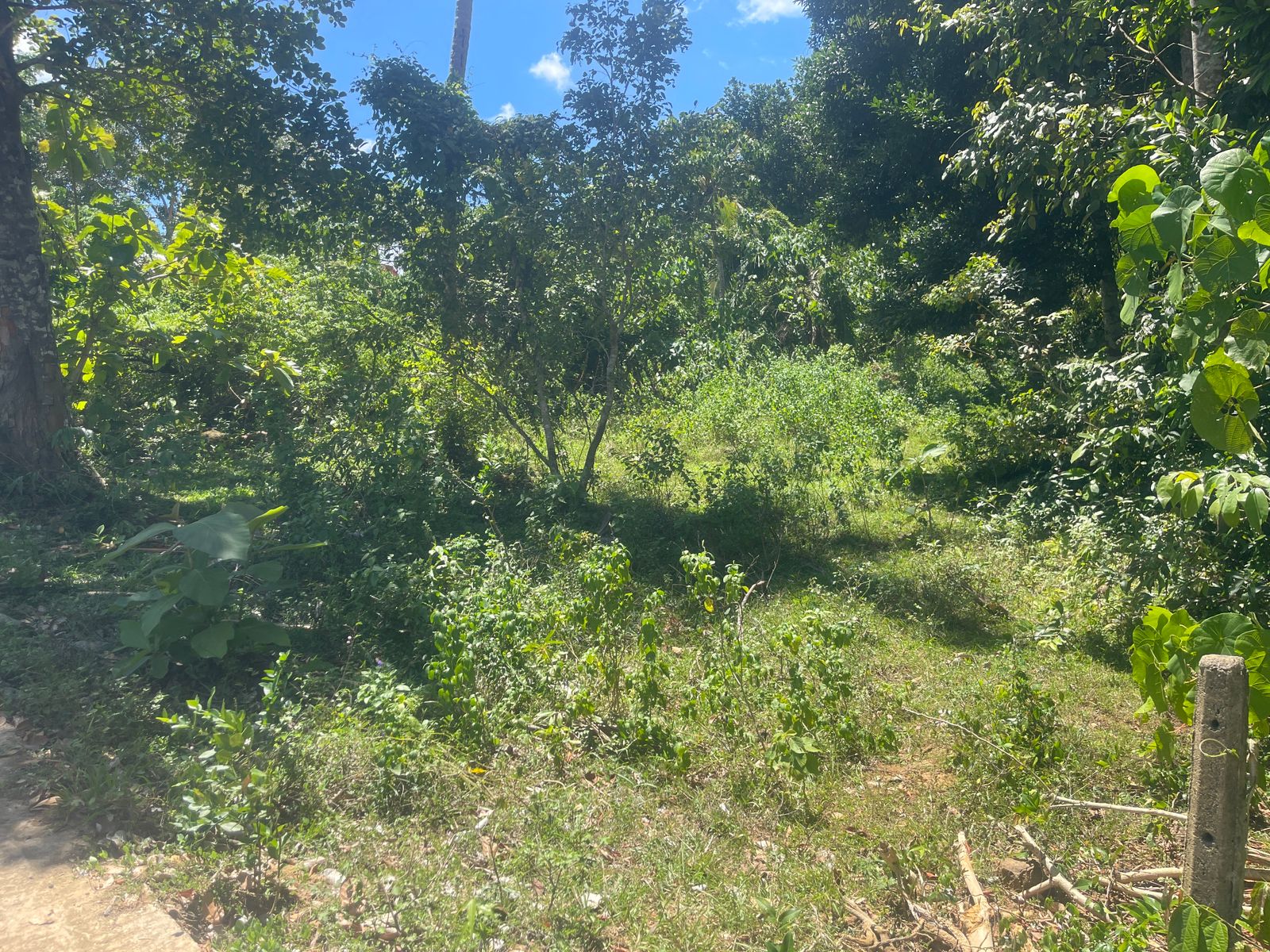 බෙලිඅත්ත නගරයේන් පදිංචියට හොද ඉඩම