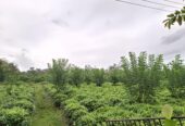 Road Side Land for Sale Matugama