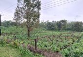 Road Side Land for Sale Matugama