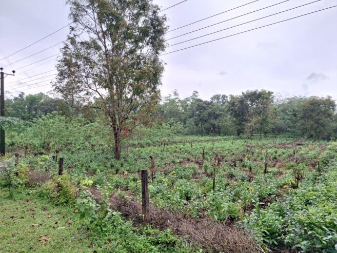 Road Side Land for Sale Matugama