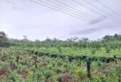 Road Side Land for Sale Matugama