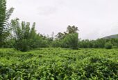 Road Side Land for Sale Matugama