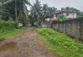 කඩවත පර්චස් 12.7ක වටිනා ඉඩමක් විකිණීමට