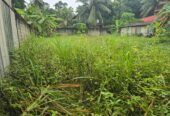 කඩවත පර්චස් 12.7ක වටිනා ඉඩමක් විකිණීමට