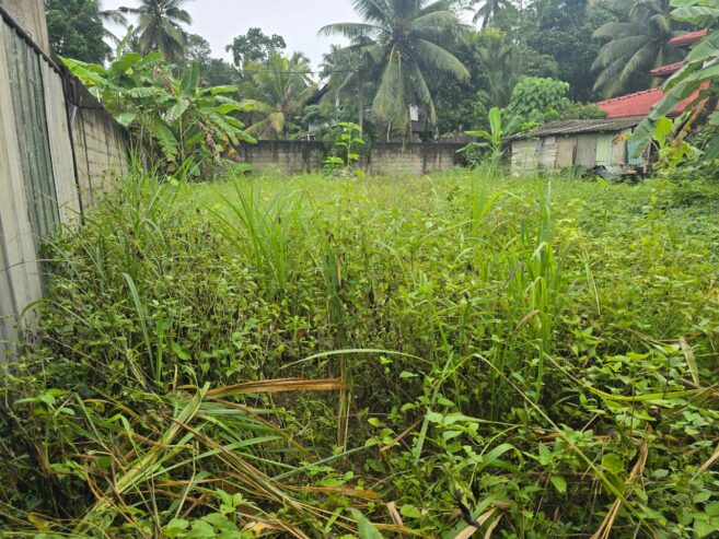 කඩවත පර්චස් 12.7ක වටිනා ඉඩමක් විකිණීමට