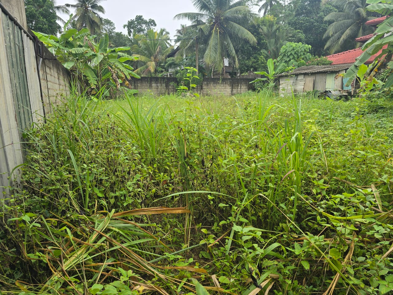 කඩවත පර්චස් 12.7ක වටිනා ඉඩමක් විකිණීමට