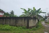 කඩවත පර්චස් 12.7ක වටිනා ඉඩමක් විකිණීමට