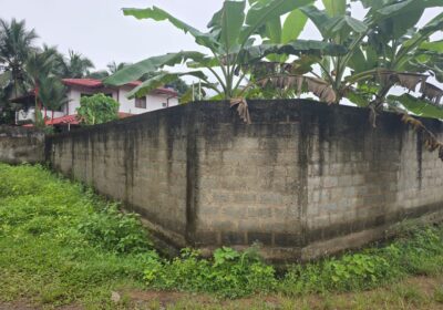 කඩවත පර්චස් 12.7ක වටිනා ඉඩමක් විකිණීමට