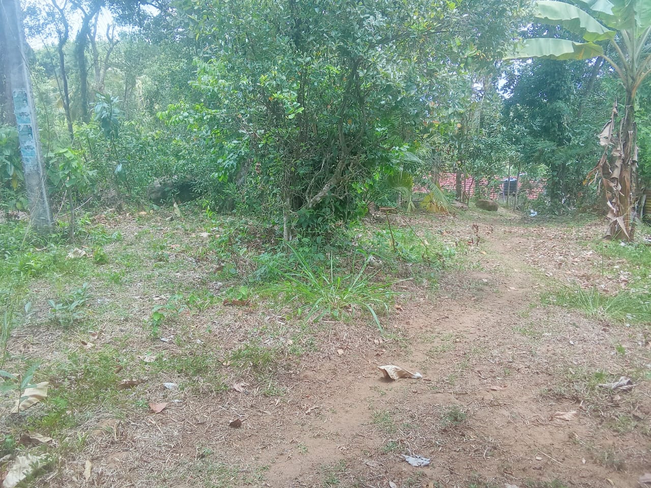 House for Sale in Mirigama