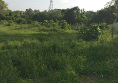 පොලොන්නරුව සේවාගම ඉඩමක් විකිණීමට