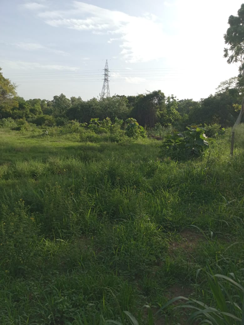 පොලොන්නරුව සේවාගම ඉඩමක් විකිණීමට