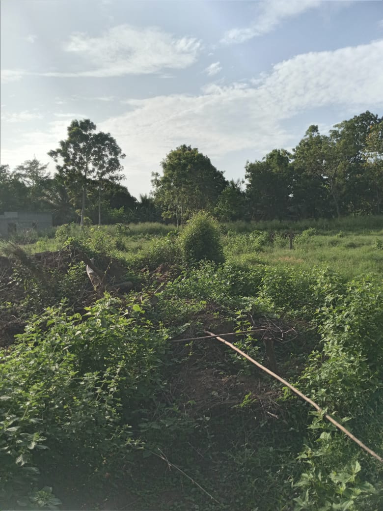 පොලොන්නරුව සේවාගම ඉඩමක් විකිණීමට