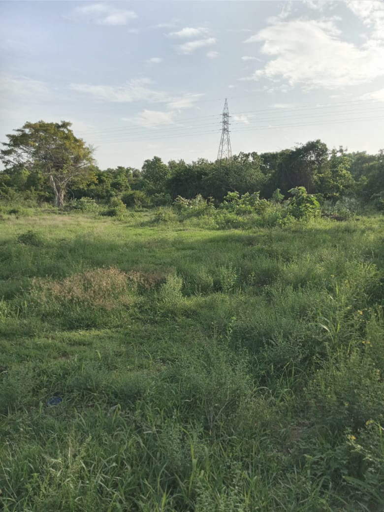 පොලොන්නරුව සේවාගම ඉඩමක් විකිණීමට