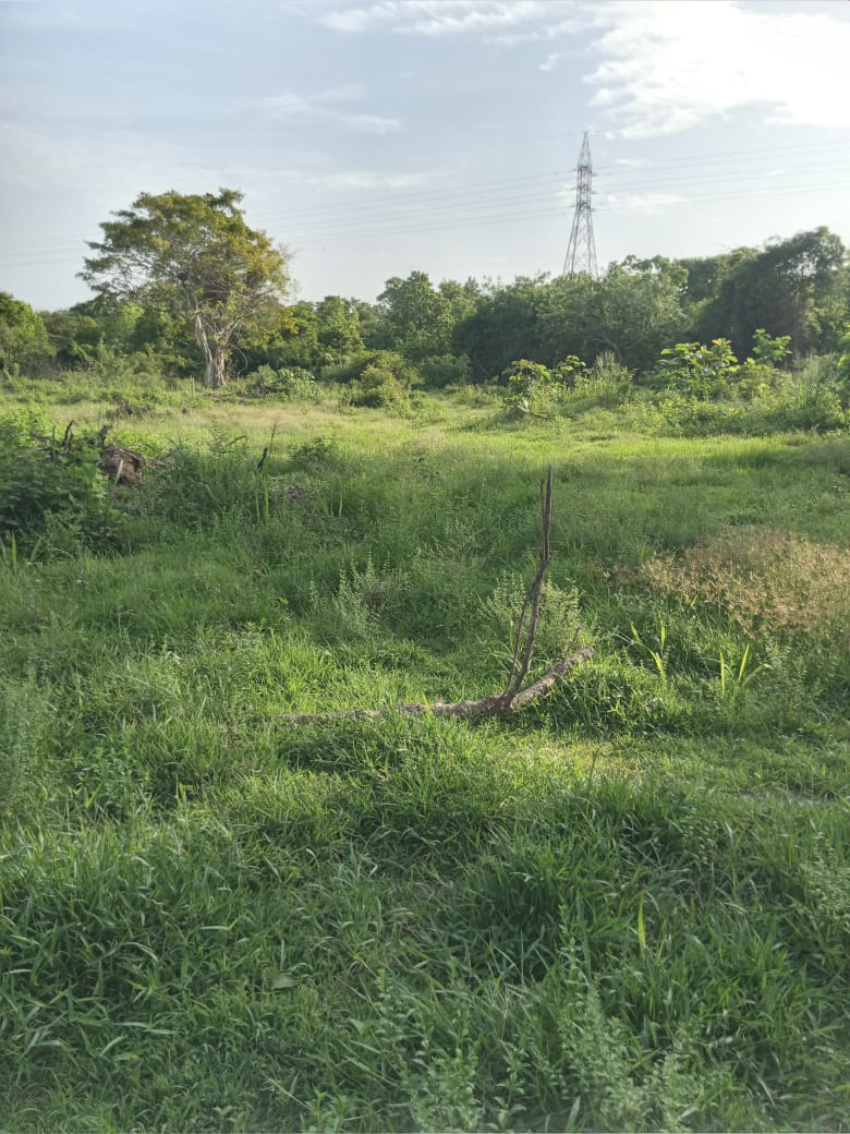 පොලොන්නරුව සේවාගම ඉඩමක් විකිණීමට