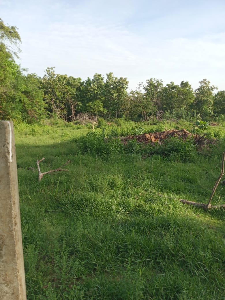 පොලොන්නරුව සේවාගම ඉඩමක් විකිණීමට