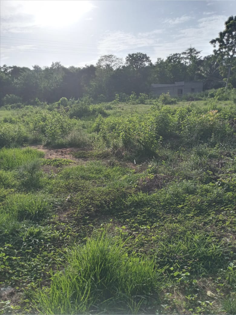 පොලොන්නරුව සේවාගම ඉඩමක් විකිණීමට