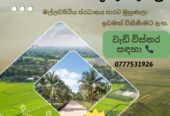 Land For Sale In Kurunegala