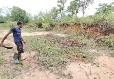 Land for Sale in Haggala