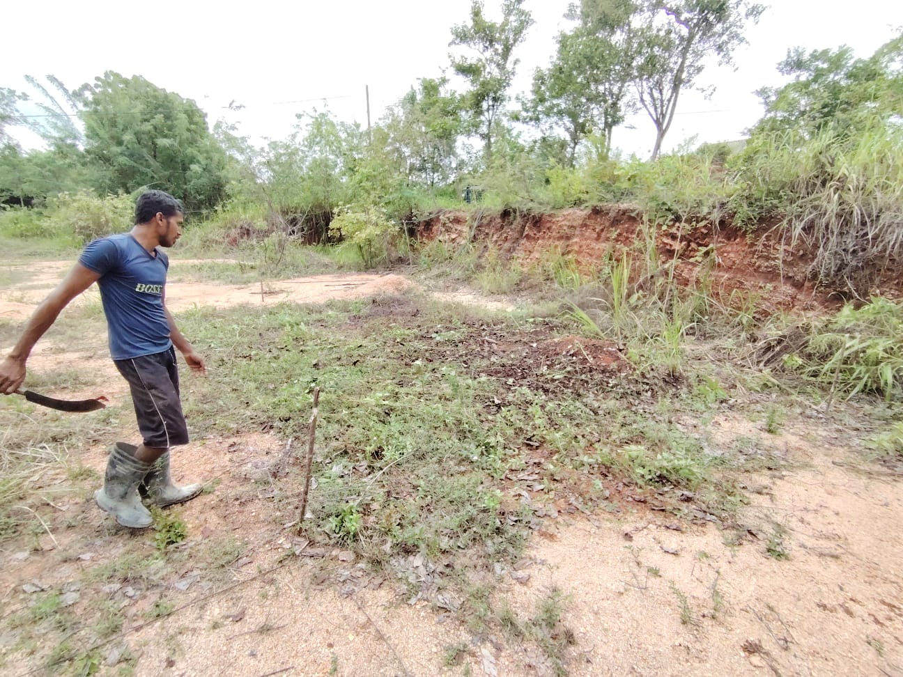 Land for Sale in Haggala