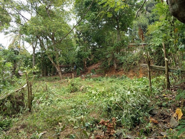 Land For Sale In Badulla