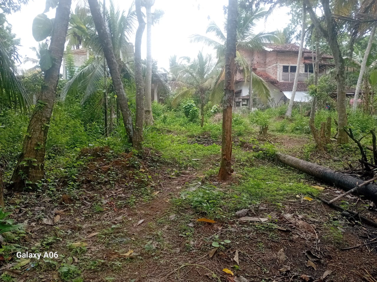 අකුරැස්සෙන් ඉඩමක් විකිණිමට