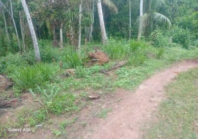 අකුරැස්සෙන් ඉඩමක් විකිණිමට