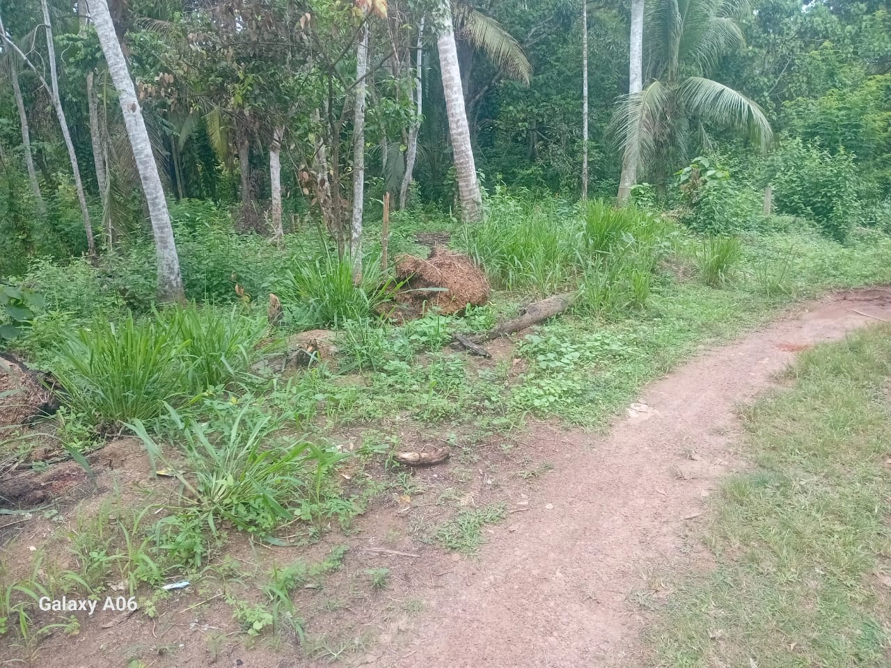 අකුරැස්සෙන් ඉඩමක් විකිණිමට