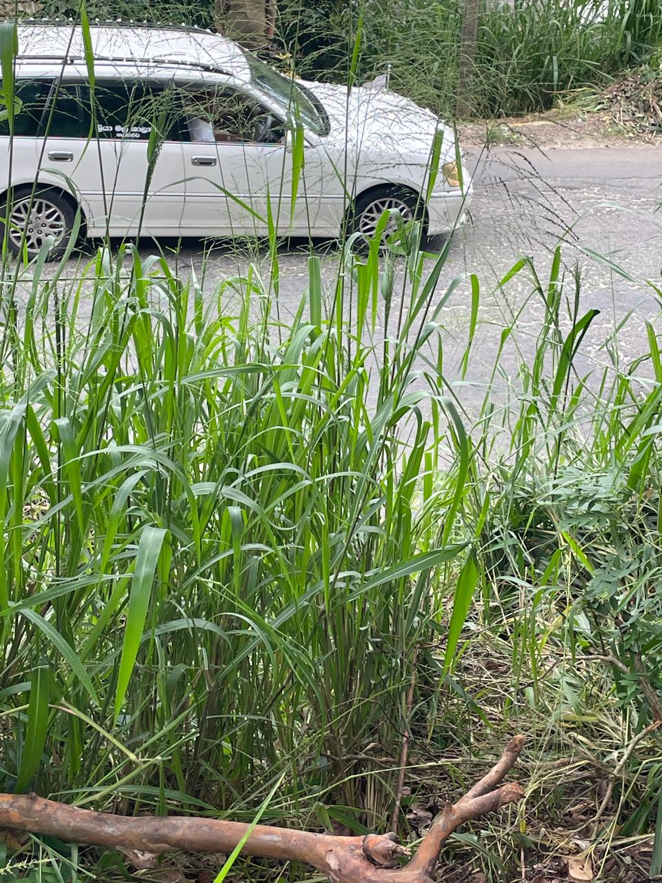 Land for Sale in Kandy