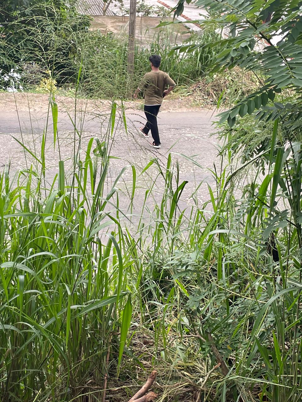 Land for Sale in Kandy