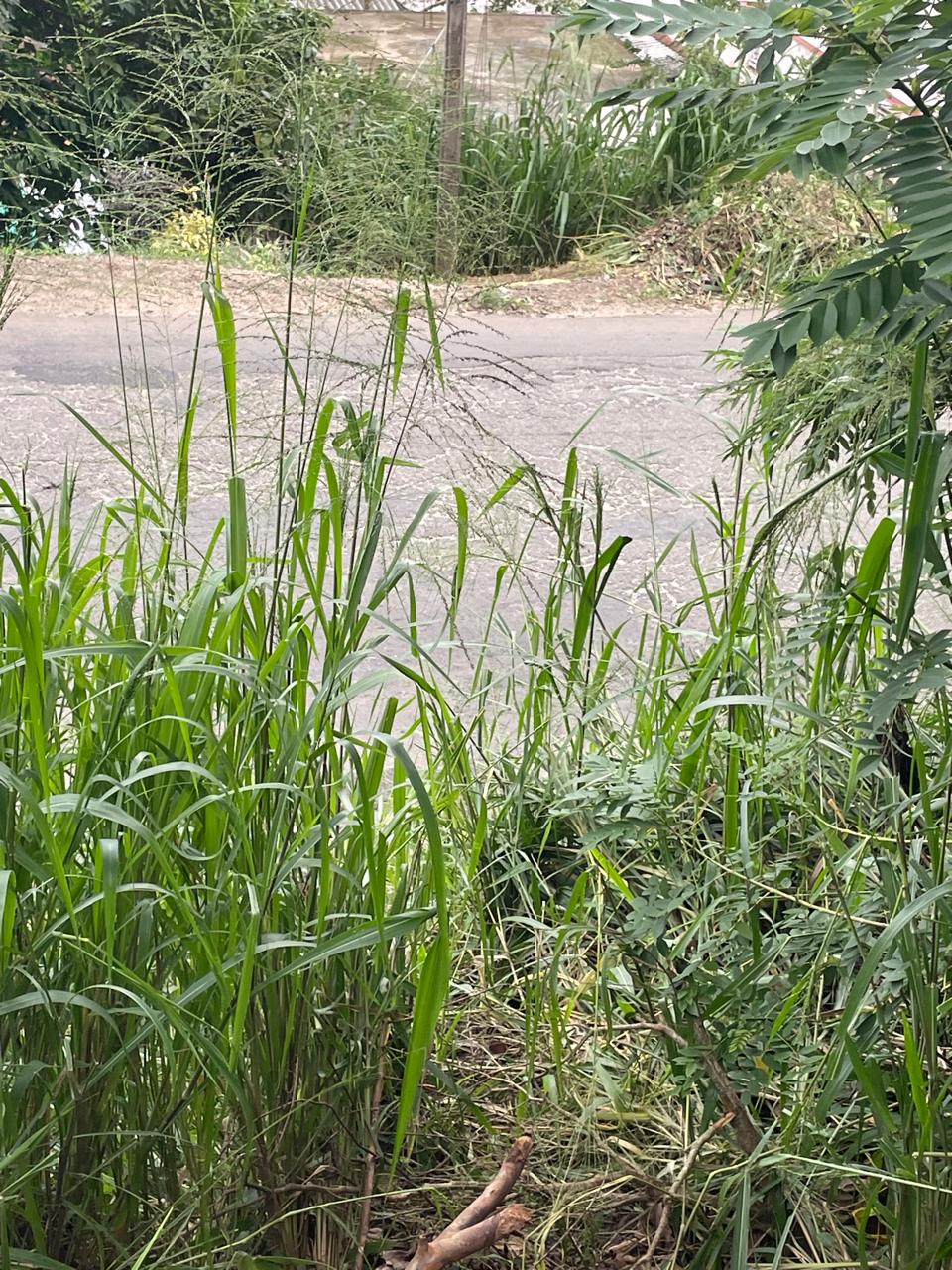 Land for Sale in Kandy