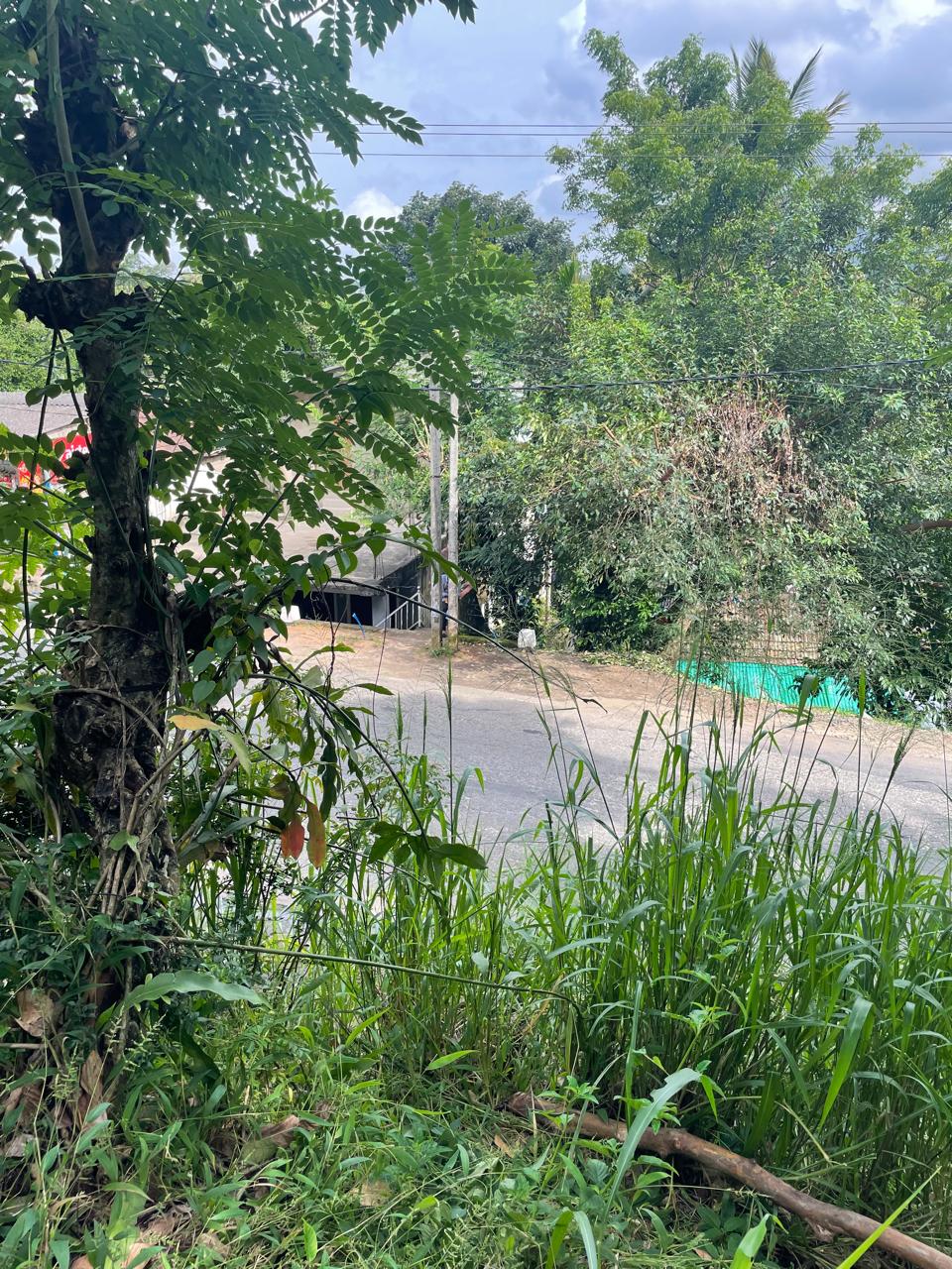 Land for Sale in Kandy